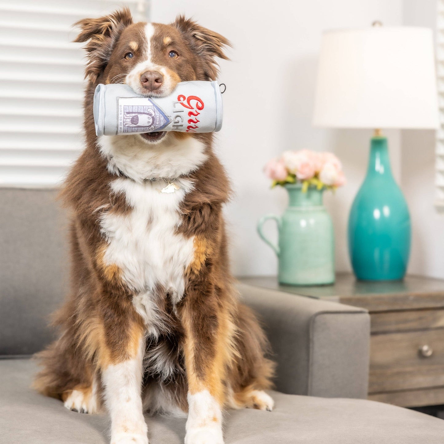 Grrrs Light Dog Toy: Large