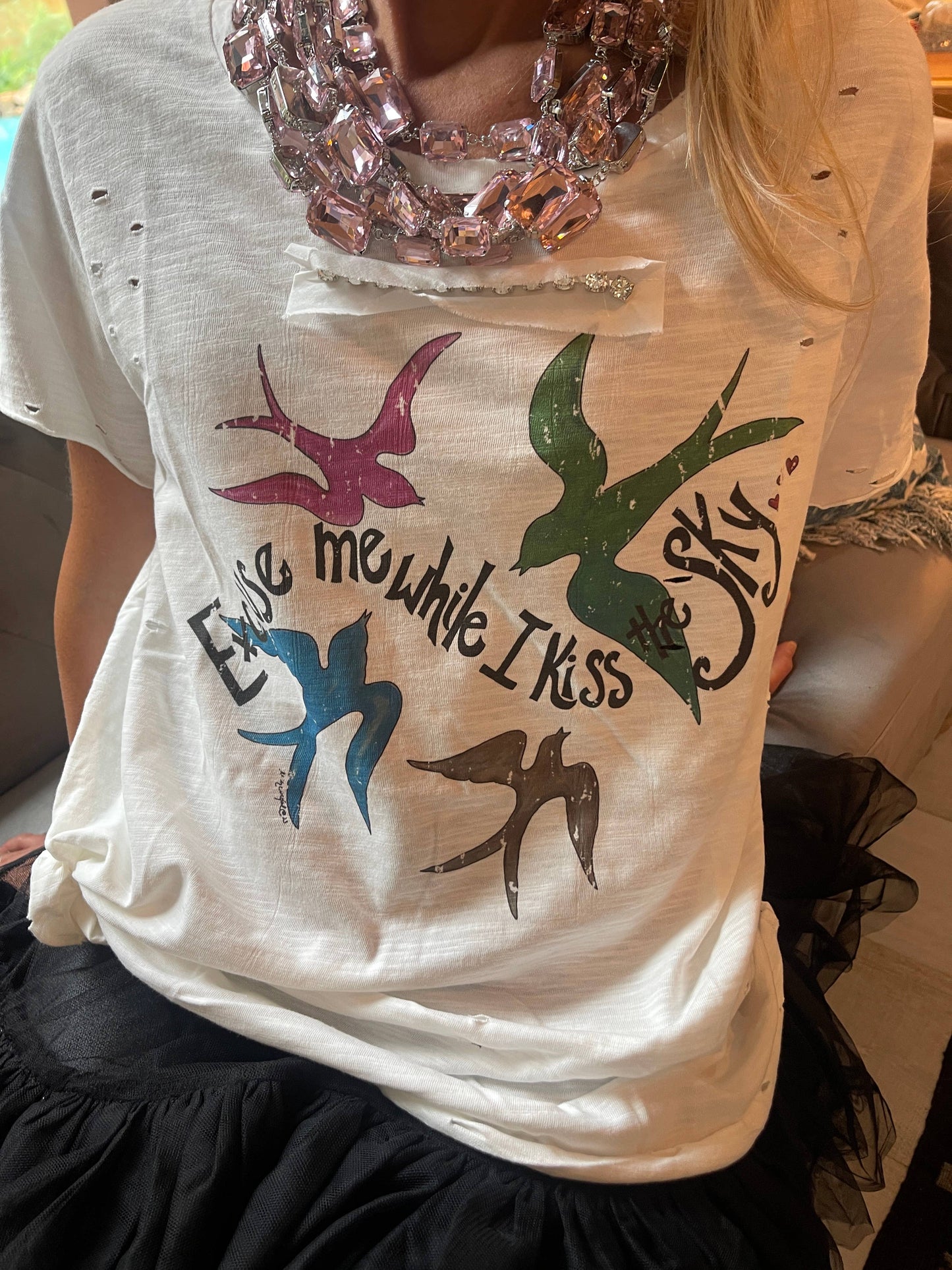 Excuse me While I Kiss the Sky