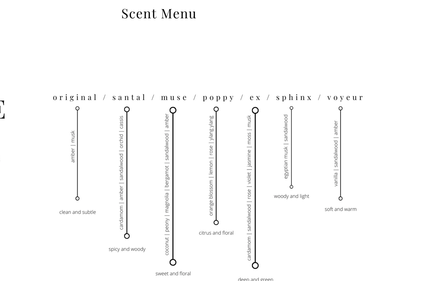 The Little Riddle Set