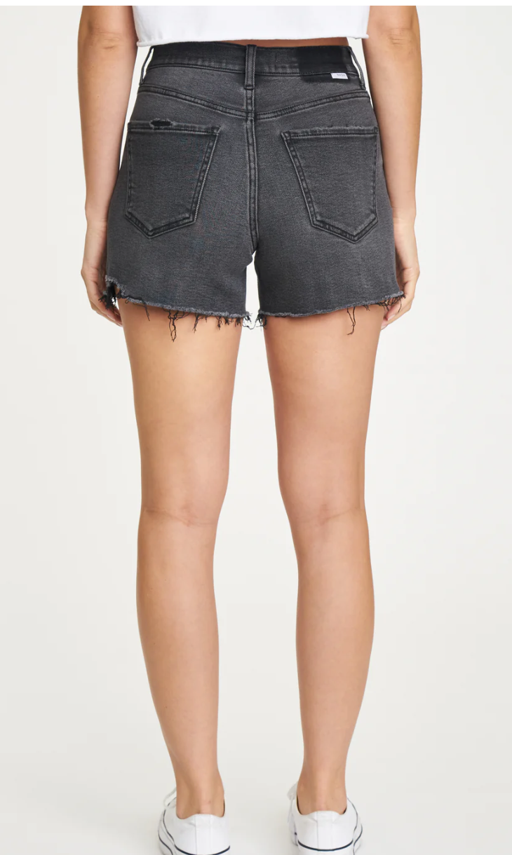 Daze Bottomline Shorts in Ashes