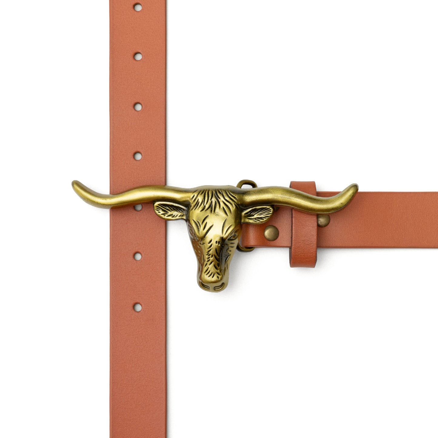 Signature Longhorn Cinnamon belt