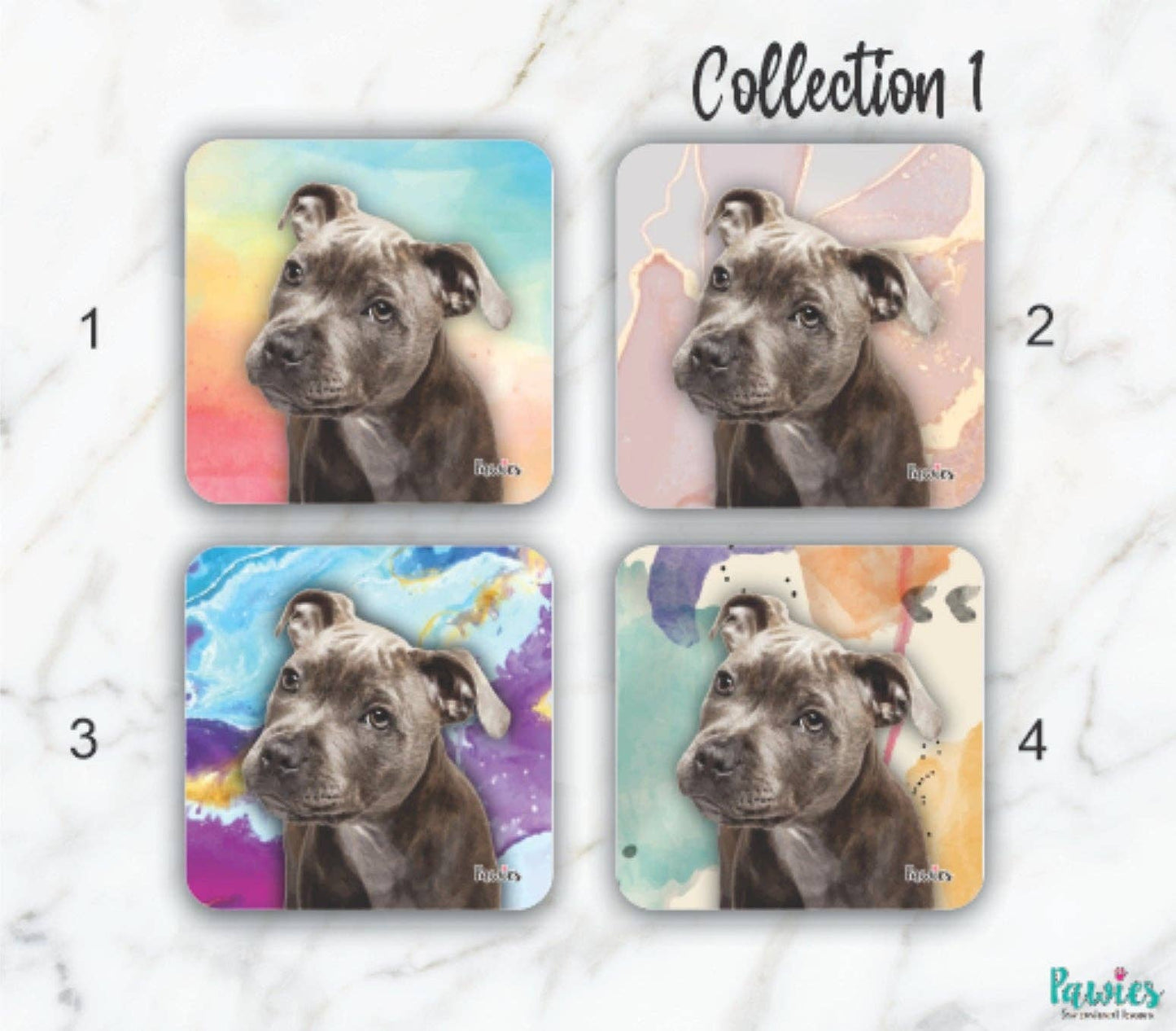Pit bull Blue Set of 4 Coasters