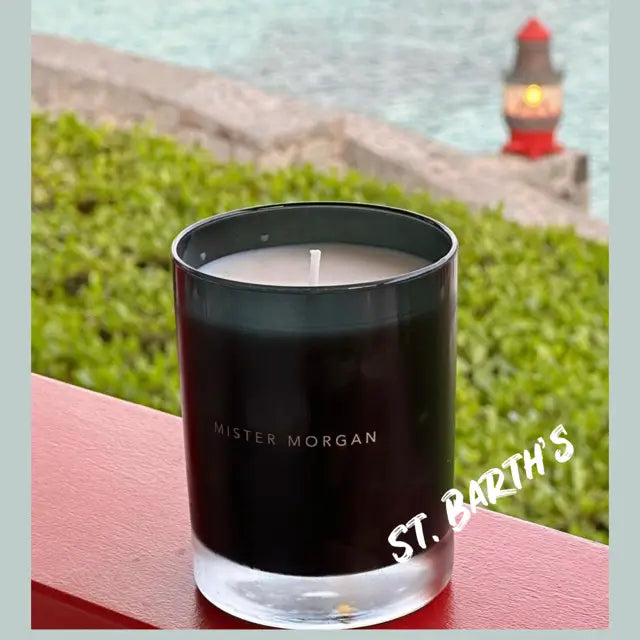 St. Barths Royal Palm & Nectar Candle