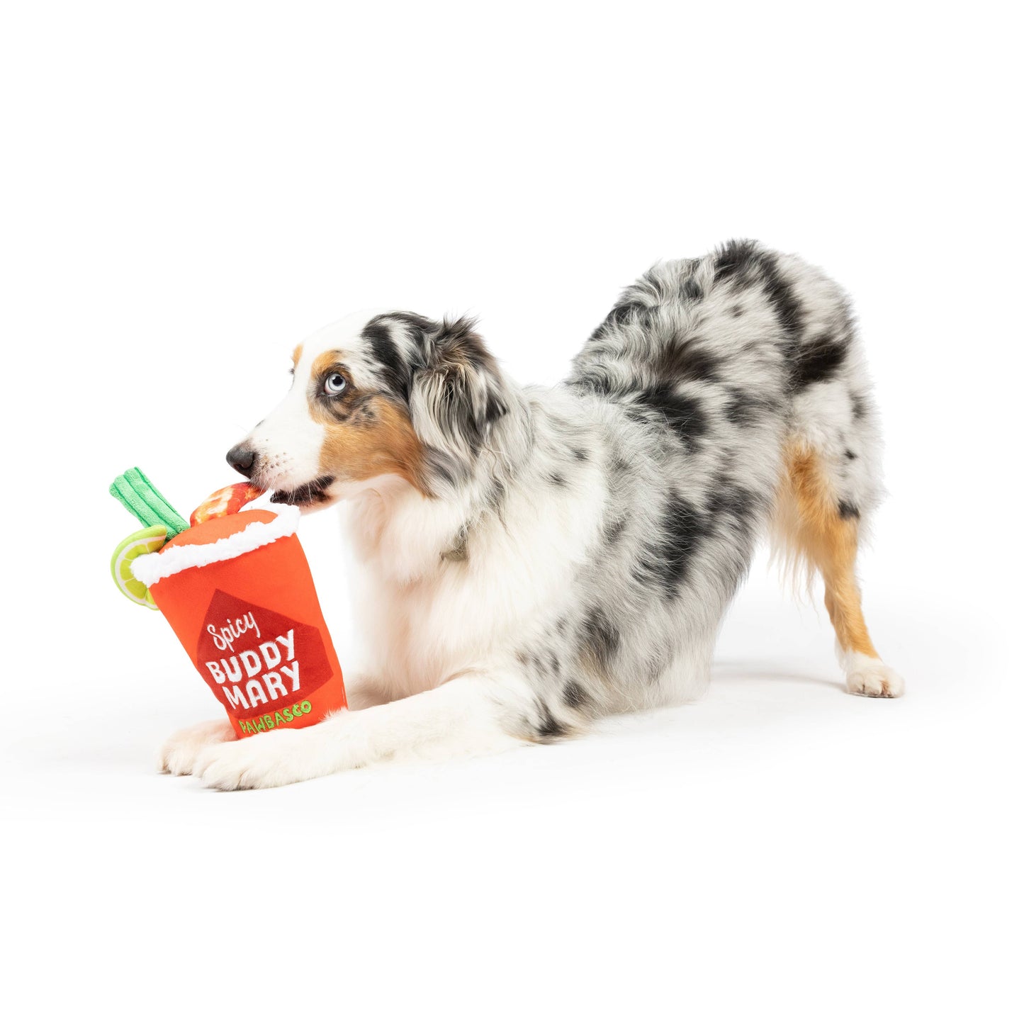 Buddy Mary Dog Toy: Small