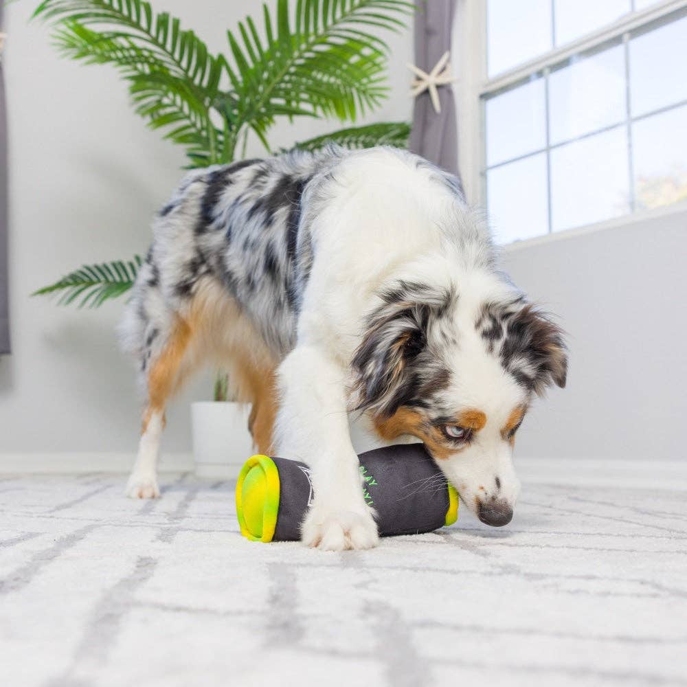 Muttster Energy Dog Toy: Small