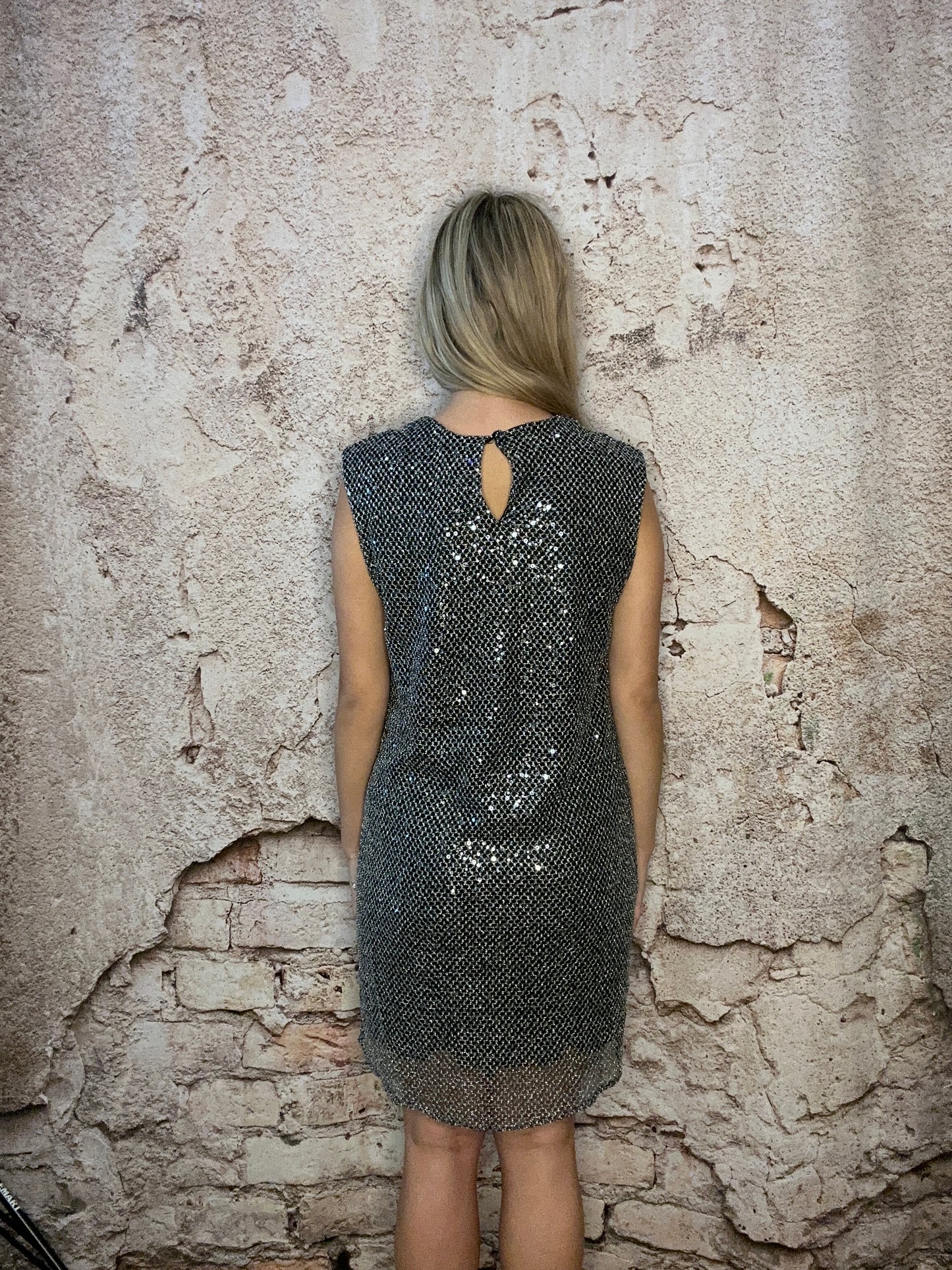 Silver Sequined Net Dress