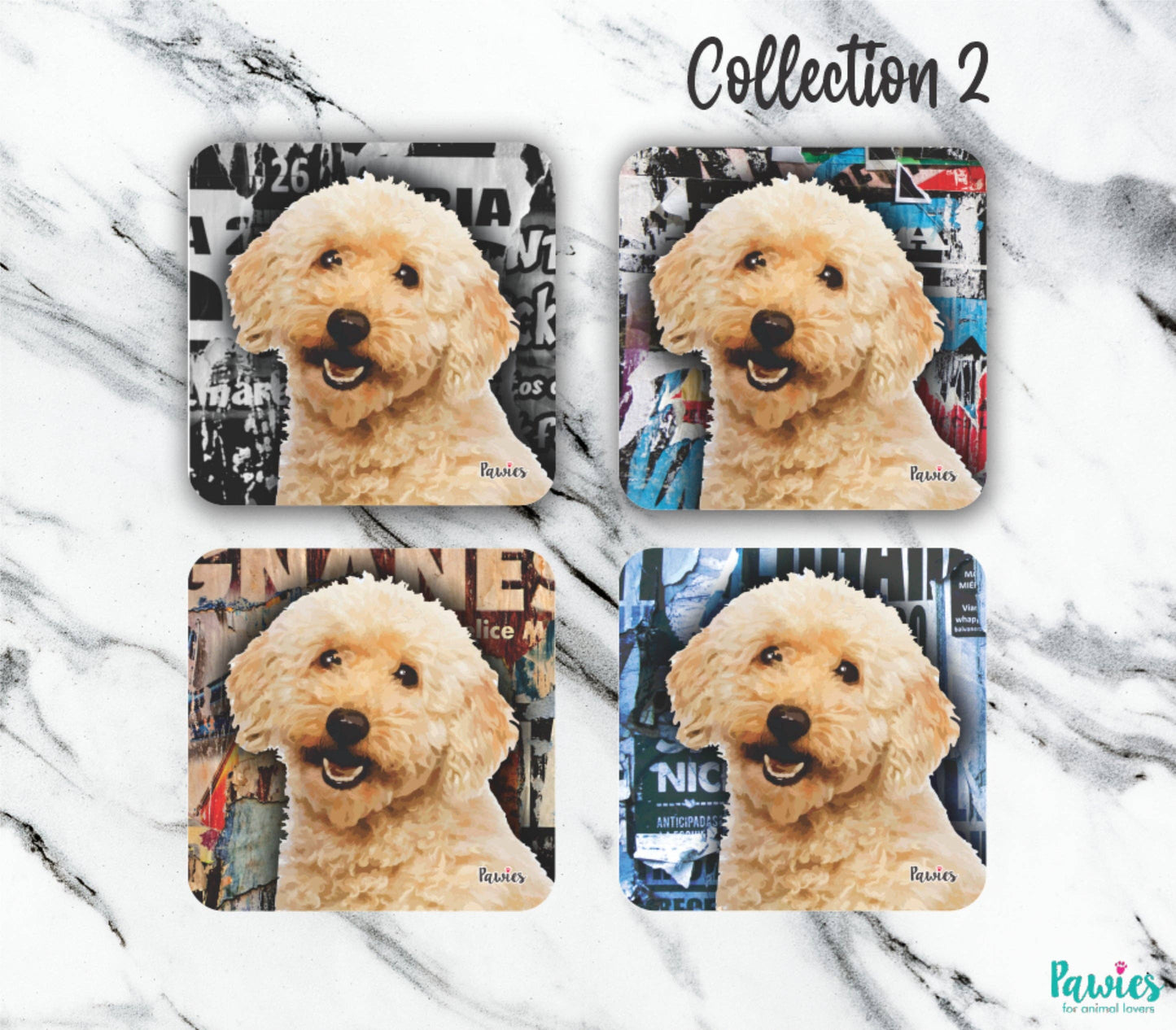 Labradoodle / Goldendoodle Cream