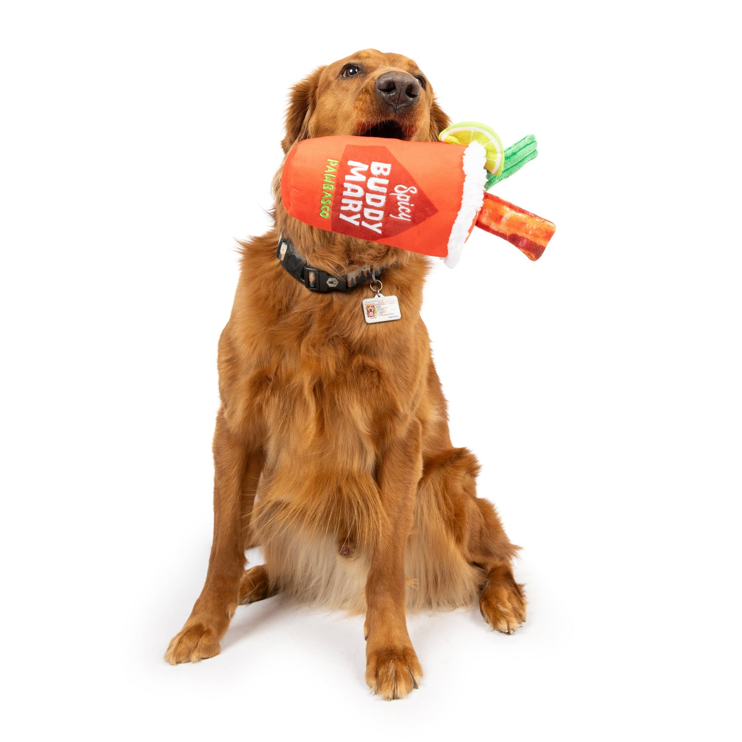 Buddy Mary Dog Toy: Small
