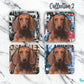 Dachshund Red Short Hair Set of 4 coasters