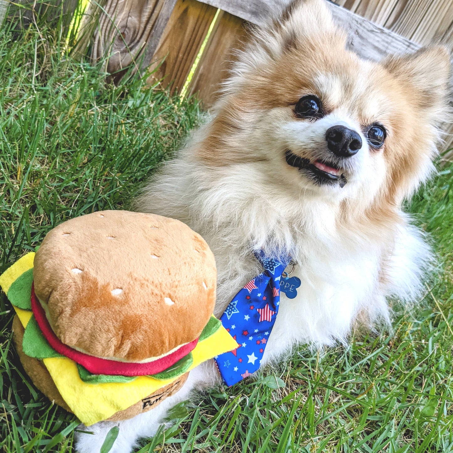 Cheeseburger Dog Toy: Small
