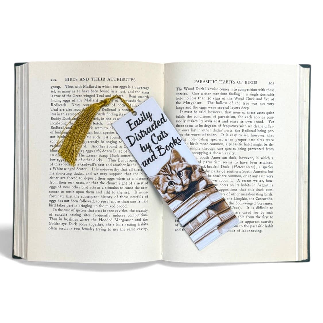 Easily Distracted by Books and Cats 3D Bookmark