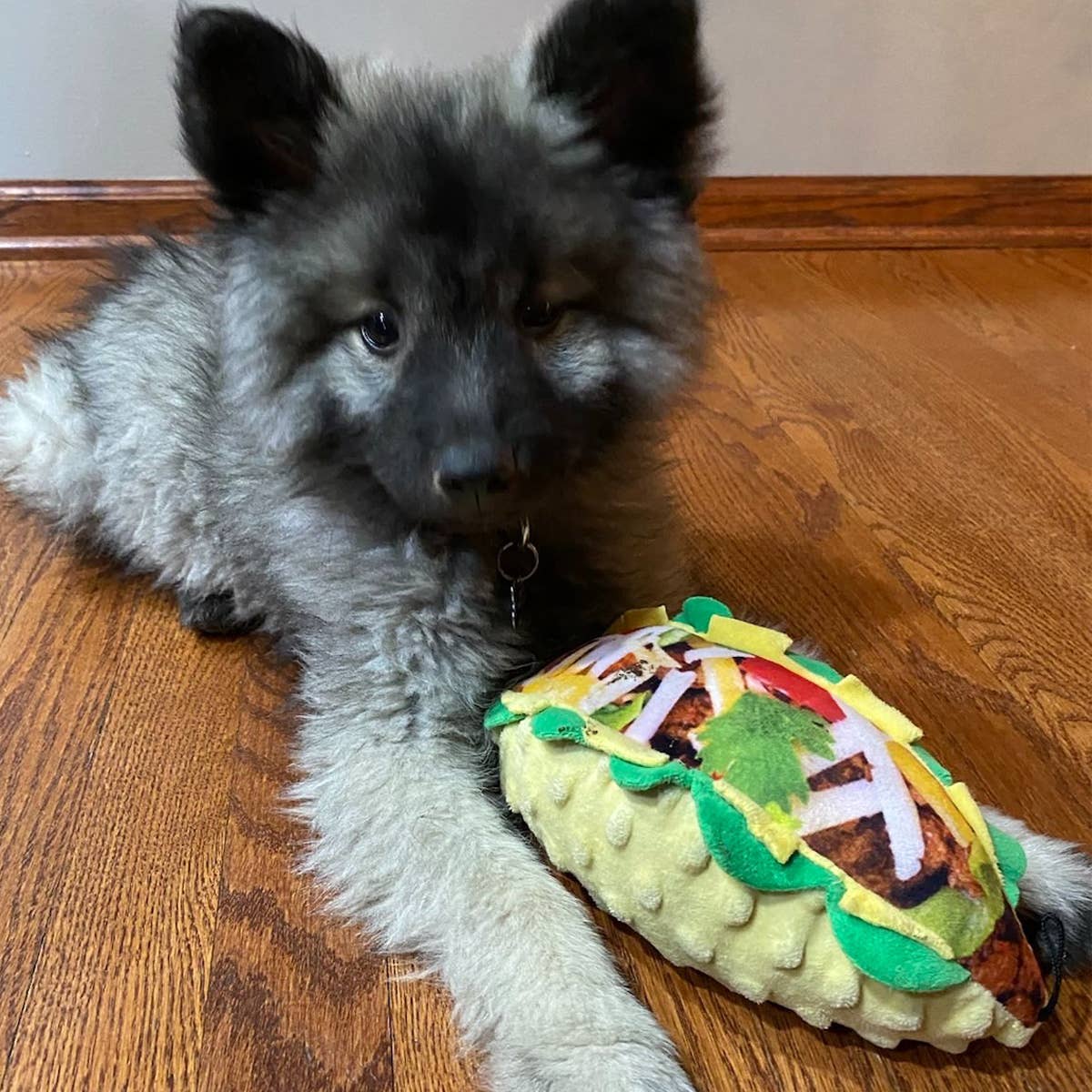 Taco Tuesday Dog Toy: Large