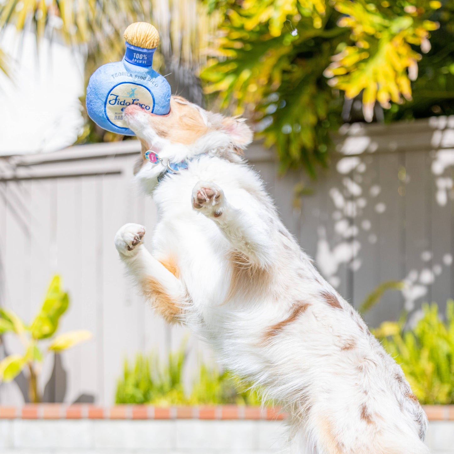 Fido Loco Tequila Dog Toy: Large