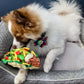 Taco Tuesday Dog Toy: Large
