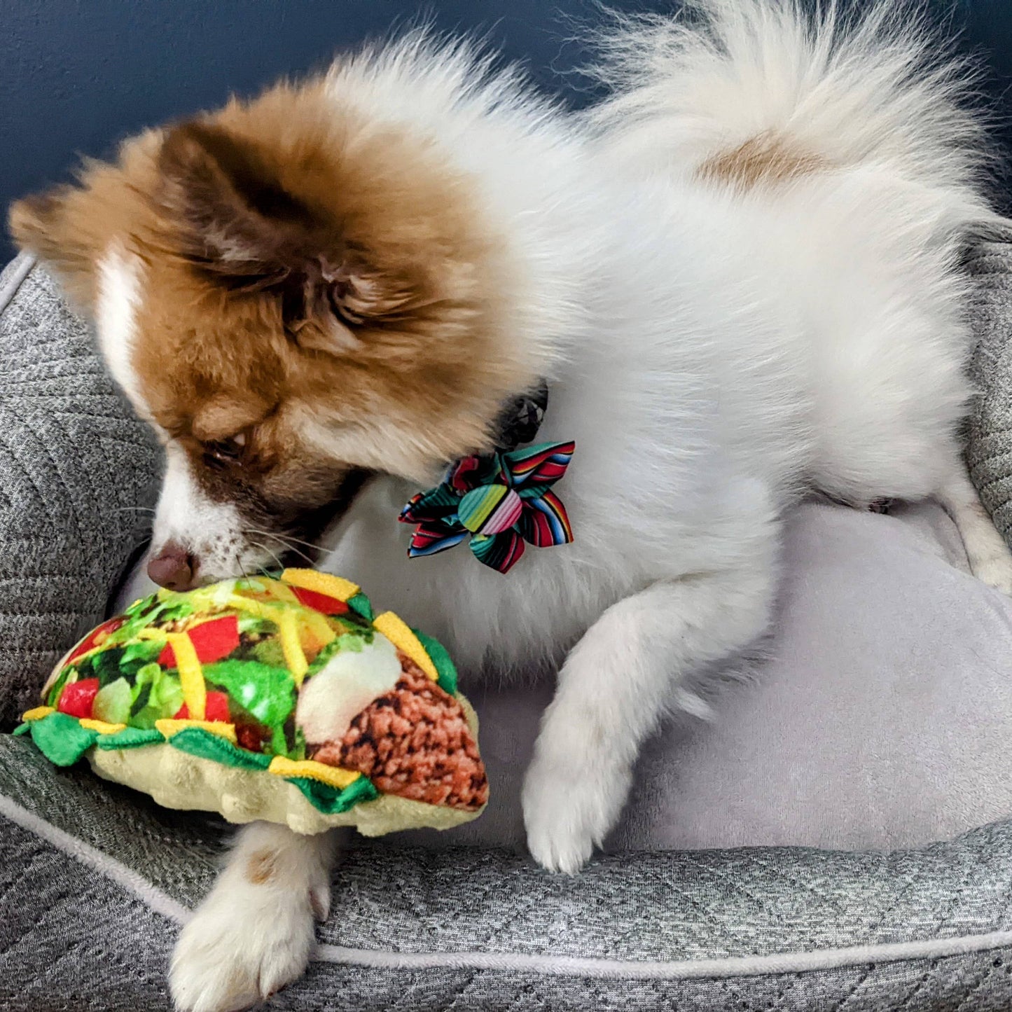 Taco Tuesday Dog Toy: Large