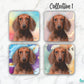 Dachshund Red Short Hair Set of 4 coasters