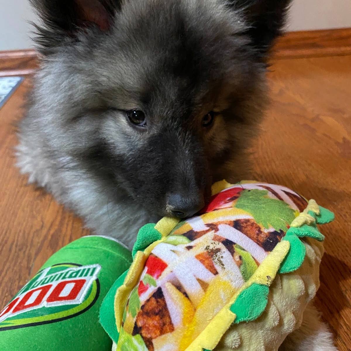 Taco Tuesday Dog Toy: Large
