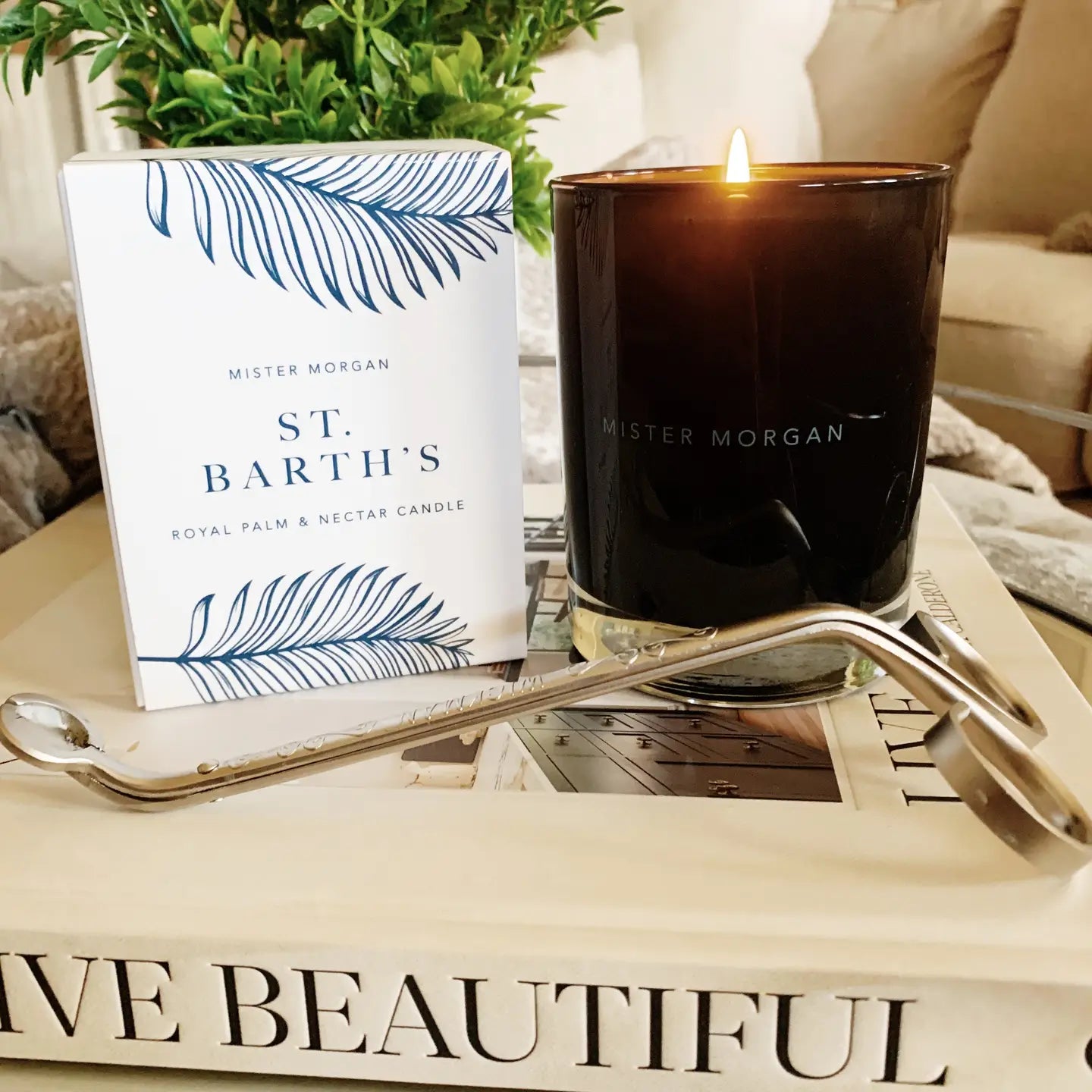 St. Barths Royal Palm & Nectar Candle