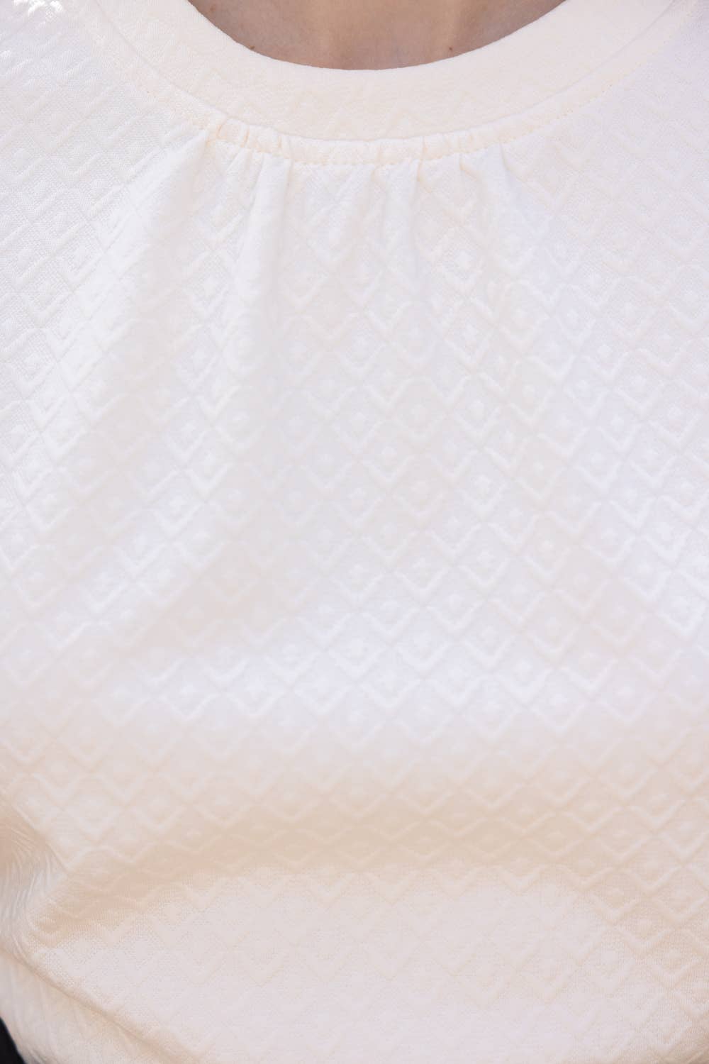 Animal Print Bubble Sleeve  Knit Top