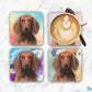 Dachshund Red Short Hair Set of 4 coasters