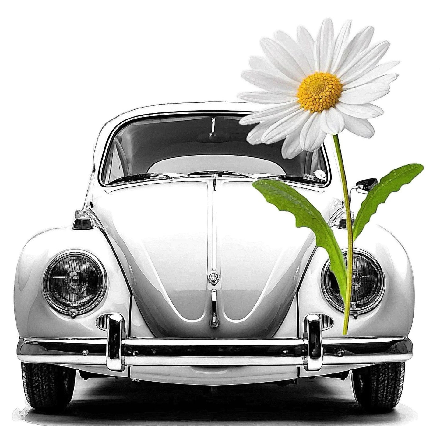 CPress Love Bug