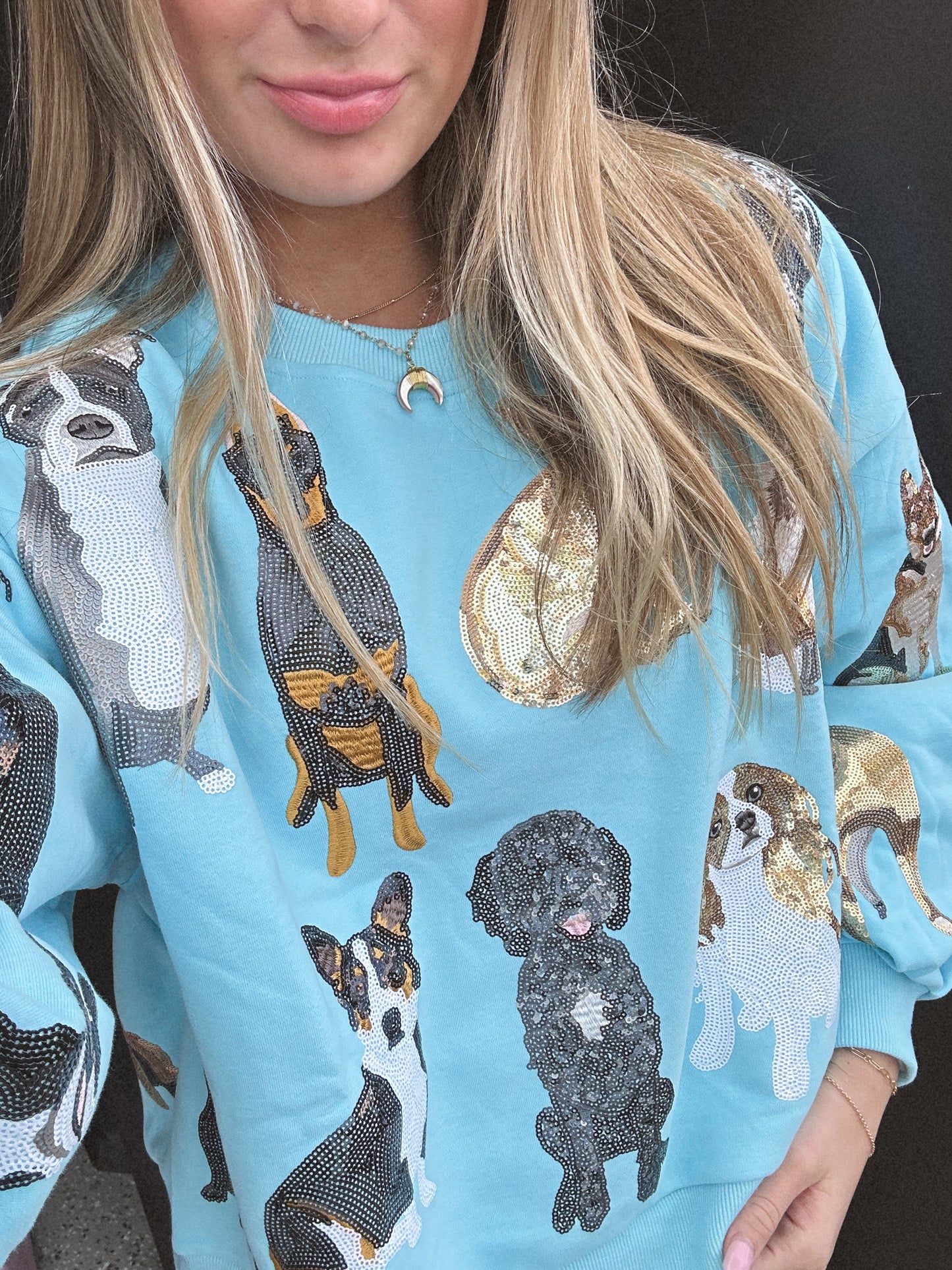 Queen of Sparkles All over Dog Sweatshirt