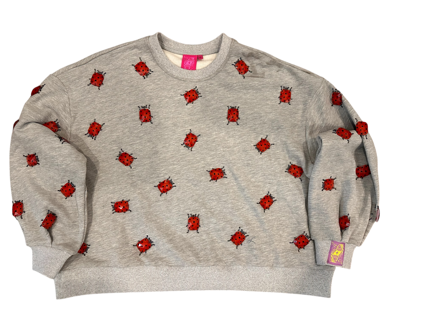 Queen of Sparkles Ladybugs Sweatshirt