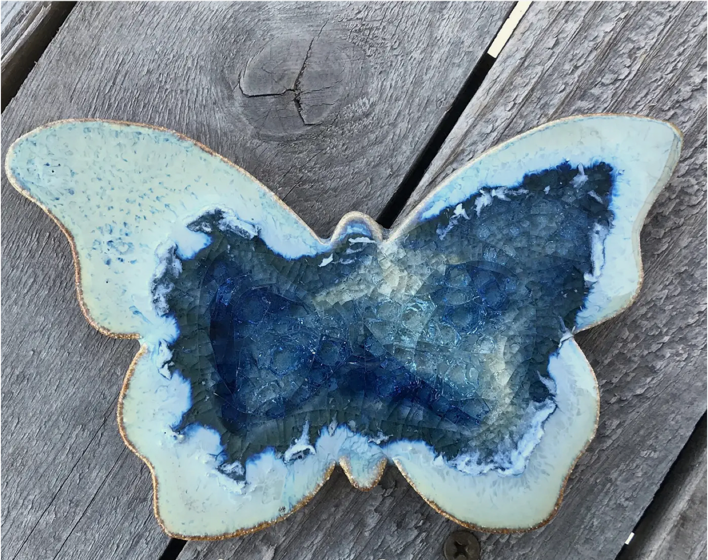 Butterfly Coaster