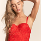Red Lace Bustier Top