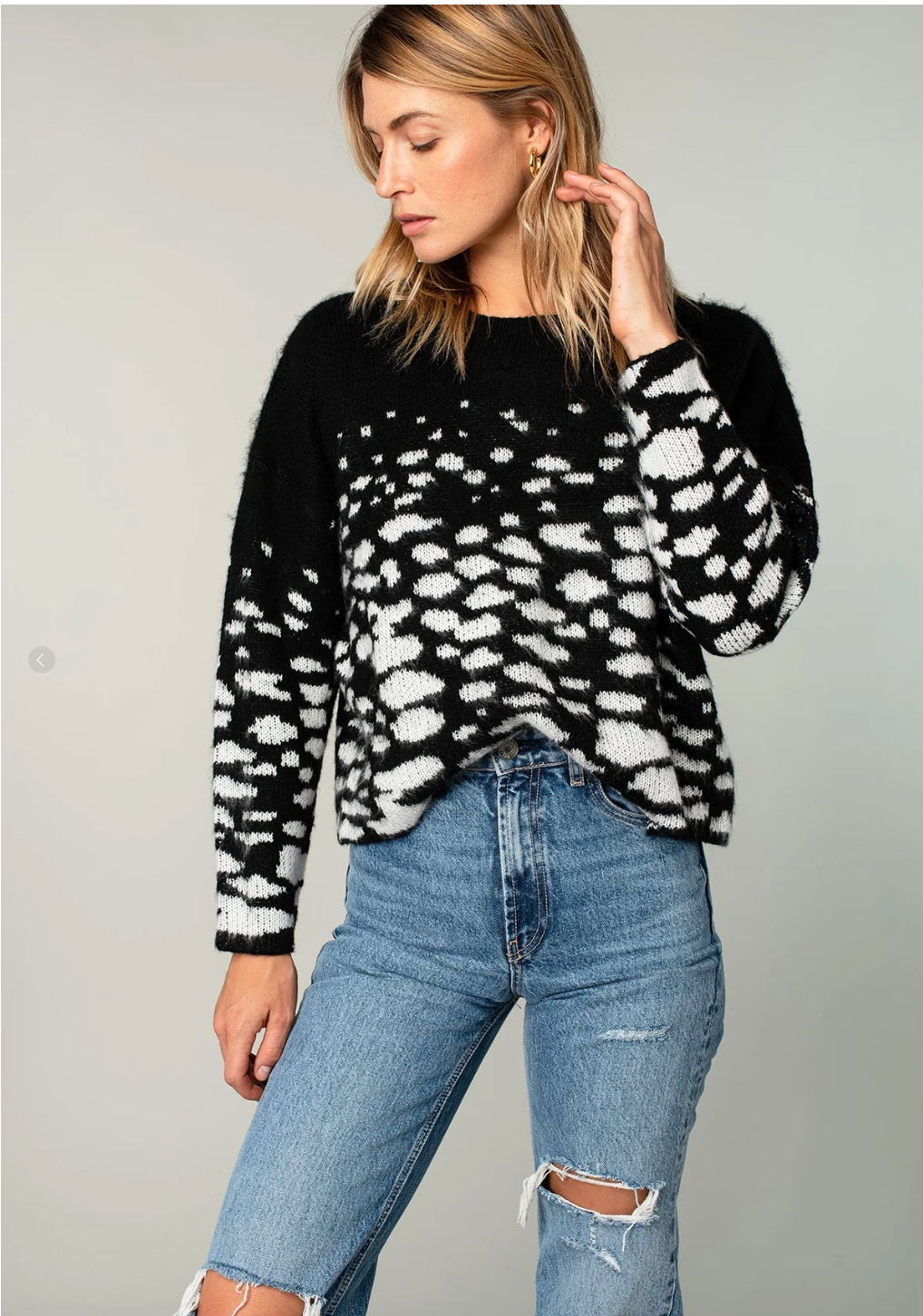 Abstract Animal Print Sweater