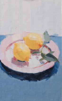 Microfiber 2 sided Tea Towel