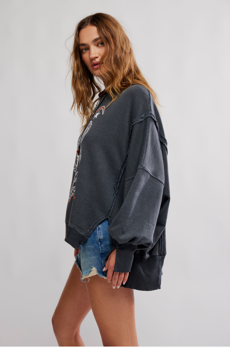 We The Free Graphic Camden Pullover Sweatshirt