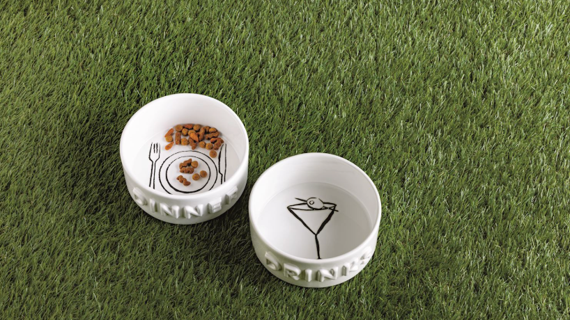 Pet Bowl Shaken not Stirred