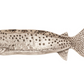 Trout Metal Tray