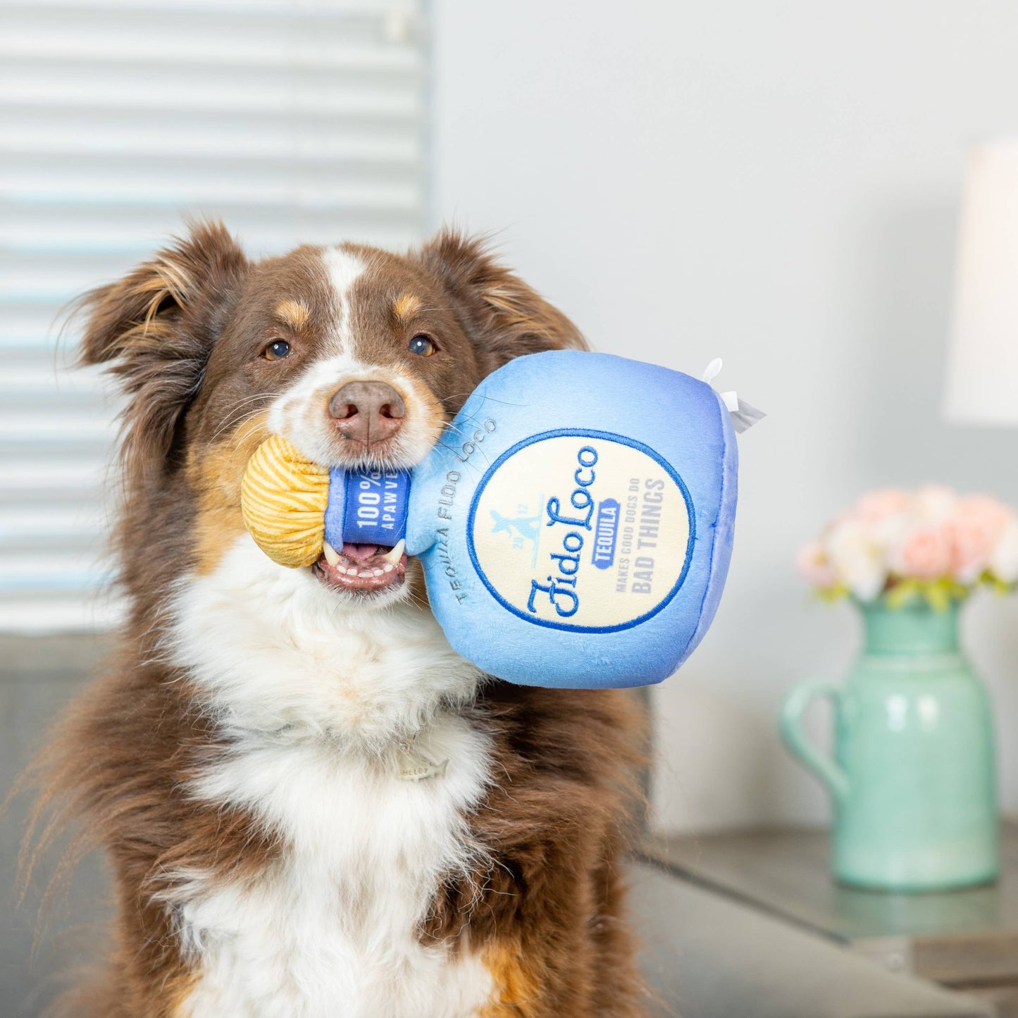 Fido Loco Tequila Dog Toy: Large