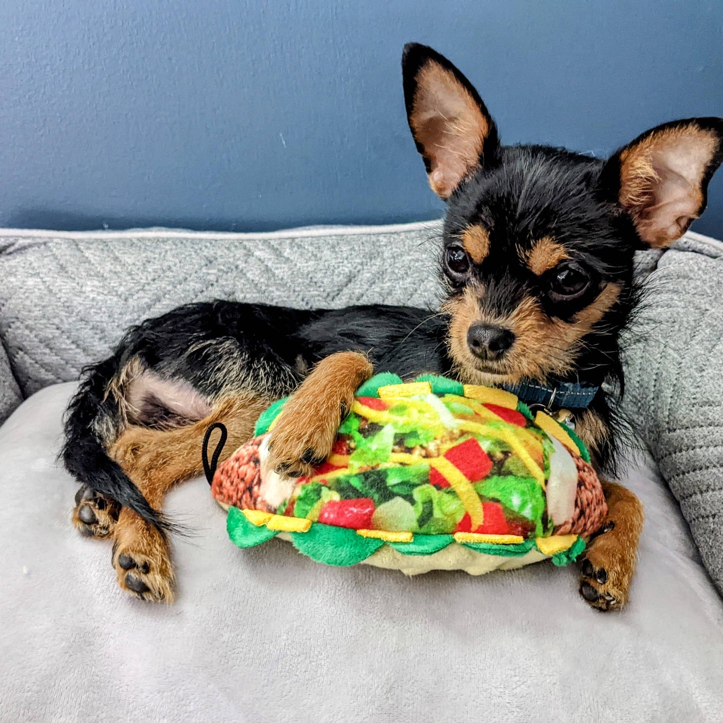 Taco Tuesday Dog Toy: Large