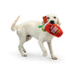Buddy Mary Dog Toy: Large