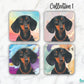 Dachshund Short Hair Black Set of 4 Coasters