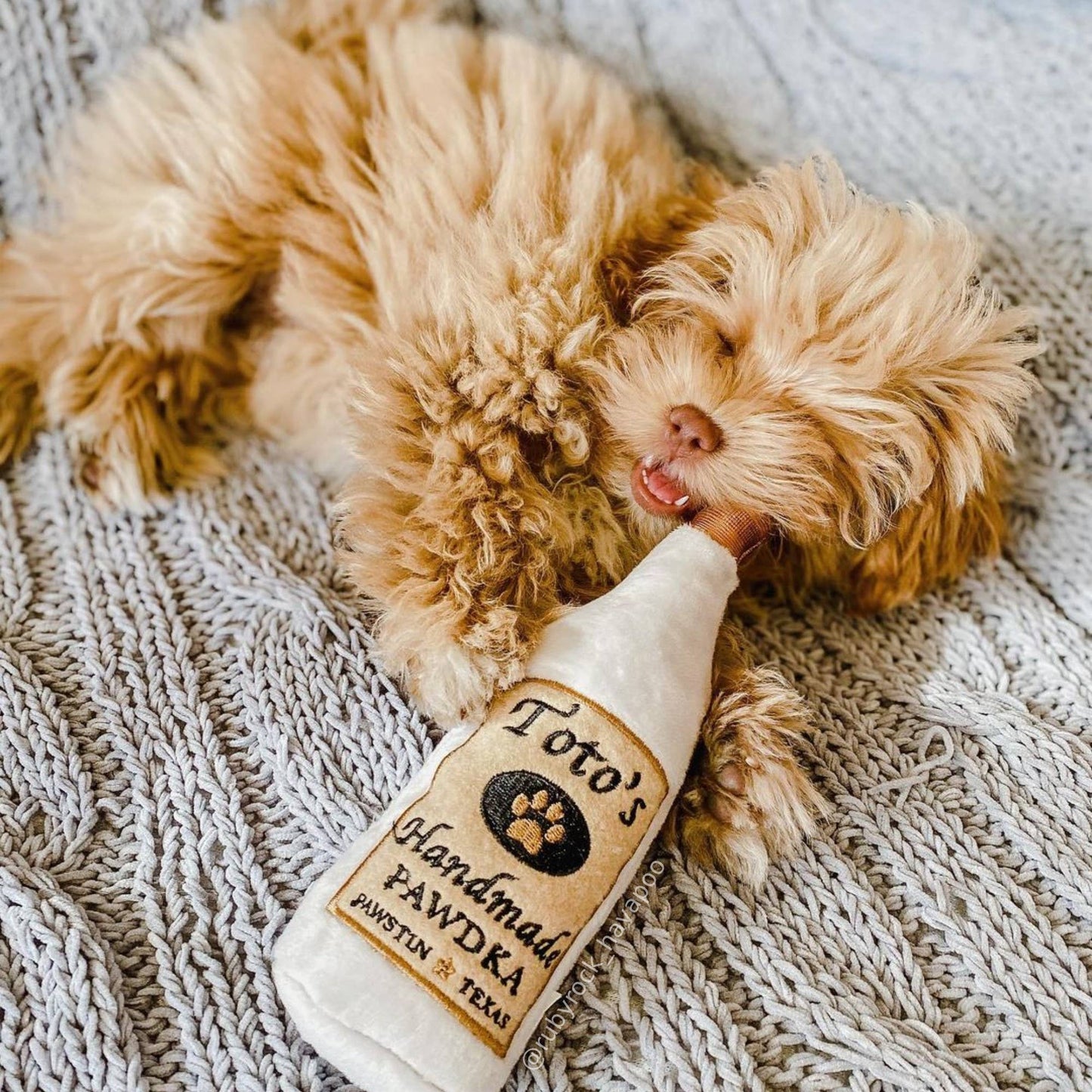 Toto's Pawdka Dog Toy: Small