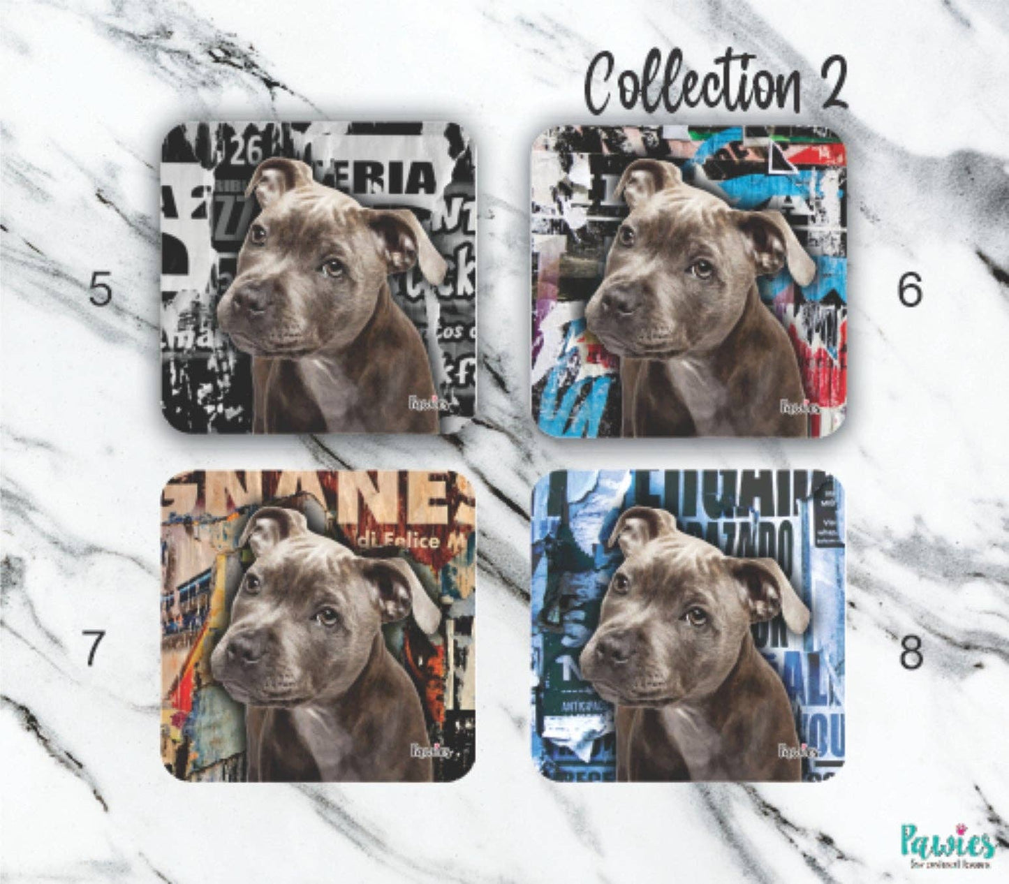 Pit bull Blue Set of 4 Coasters