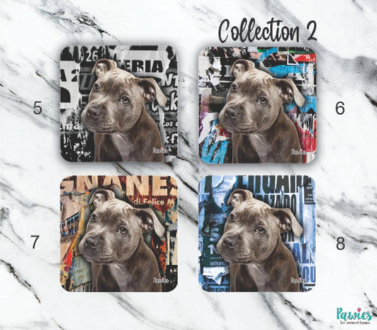 Pit bull Blue Set of 4 Coasters
