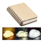 LED Wood Book Light: Walnut/S 10x8x2cm