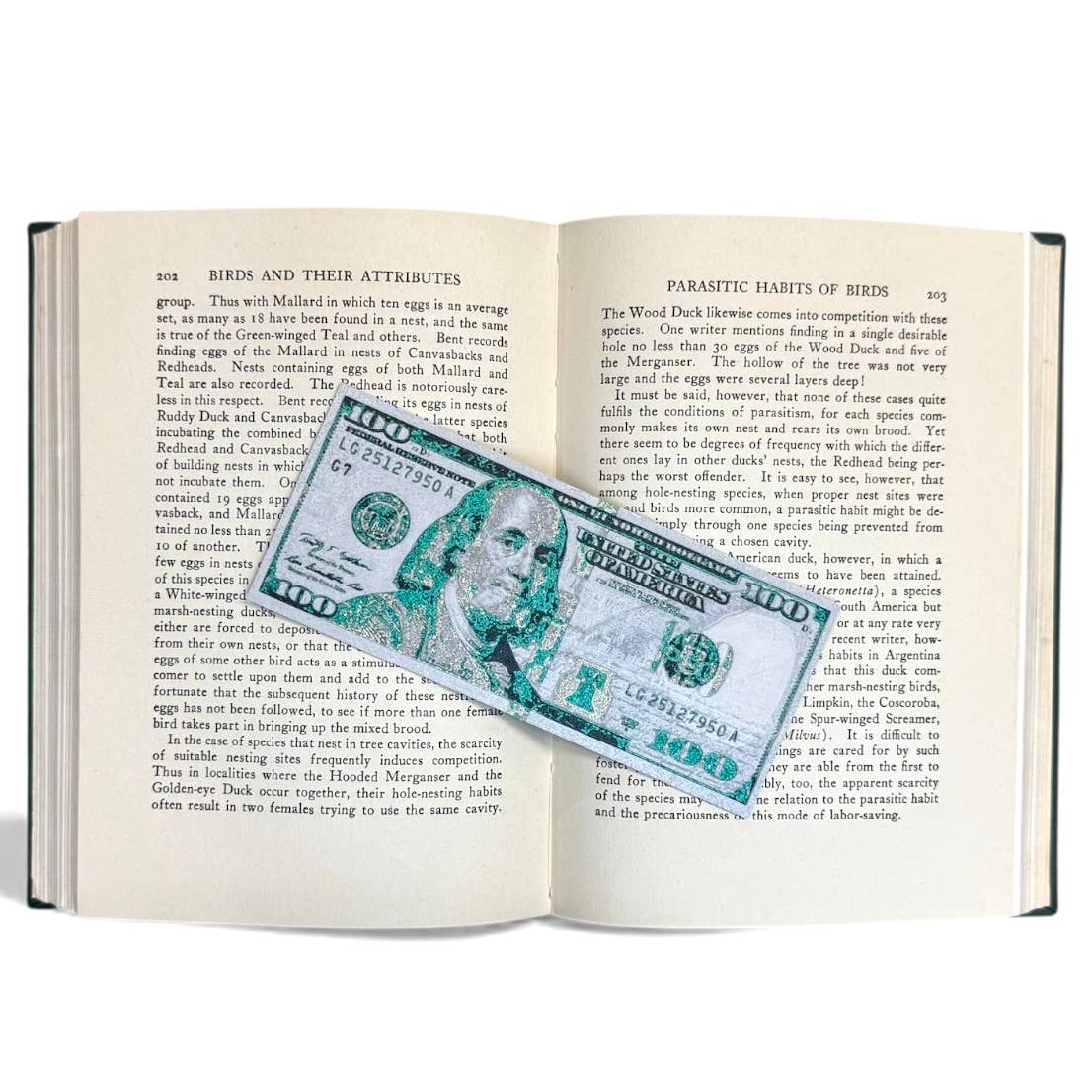 One Hundred Dollar Bill 3D Bookmark
